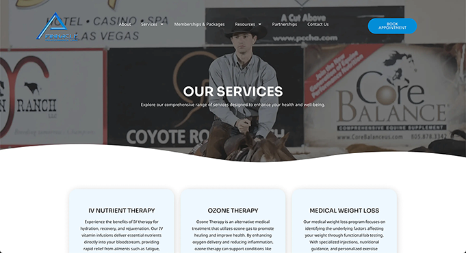 Pinnacle Site Preview Image